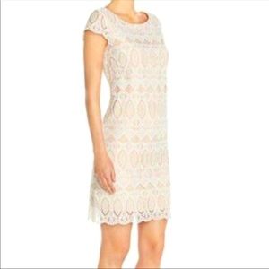 NEW Eliza J Scalloped Lace Sheath Dress
